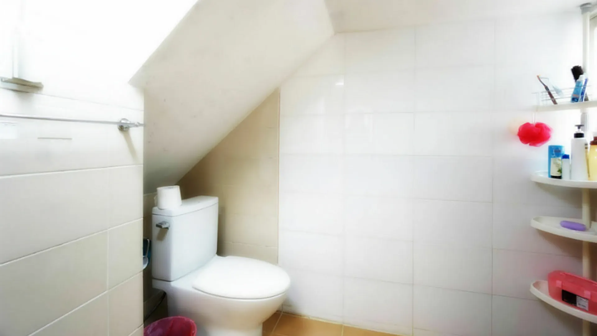 ** בית הארחה סיאול Tiara Guesthouse קוריאה הדרומית